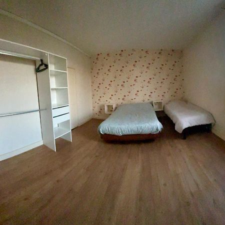 Agreable Maison De Ville Avec Jardin サン・ディジエ エクステリア 写真